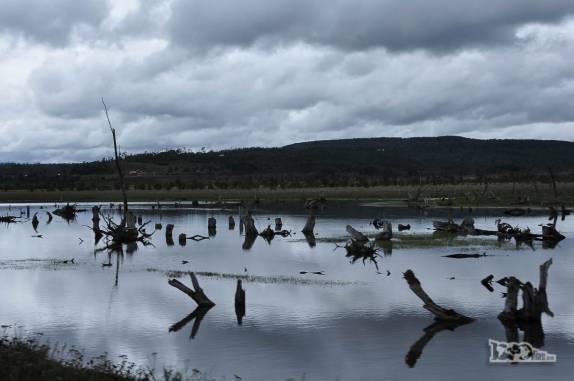 Lago fagnano, perto de Tolhuin, pequena cidade na região de Ushuaia, no sul da Terra do Fogo, Argentina